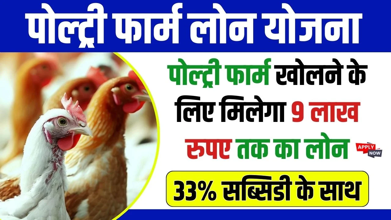 Poultry Farming 2024 - मुर्गी पालन के लिए सरकार दे रही है 40 लाख रुपए की सब्सिडी