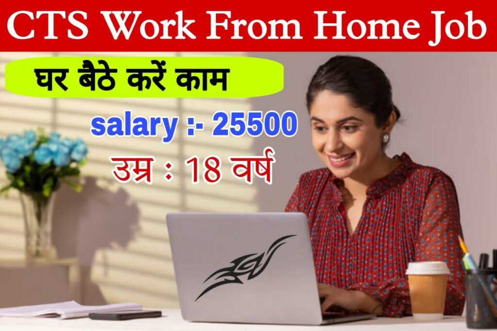 TCS Work Direct From Home Job 2024